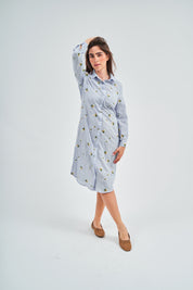 Blue Seersucker Shirt Dress