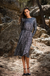 Zebra Swing Dress