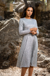 Silver Shimmer Swing Dress