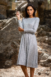Silver Shimmer Swing Dress